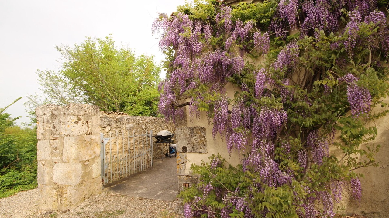 Photo of Outdoor in Razac-d'Eymet