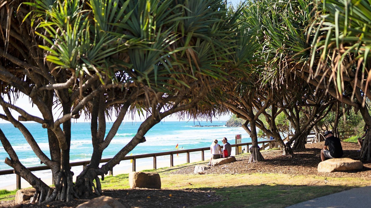 Photo of Others in Point Arkwright