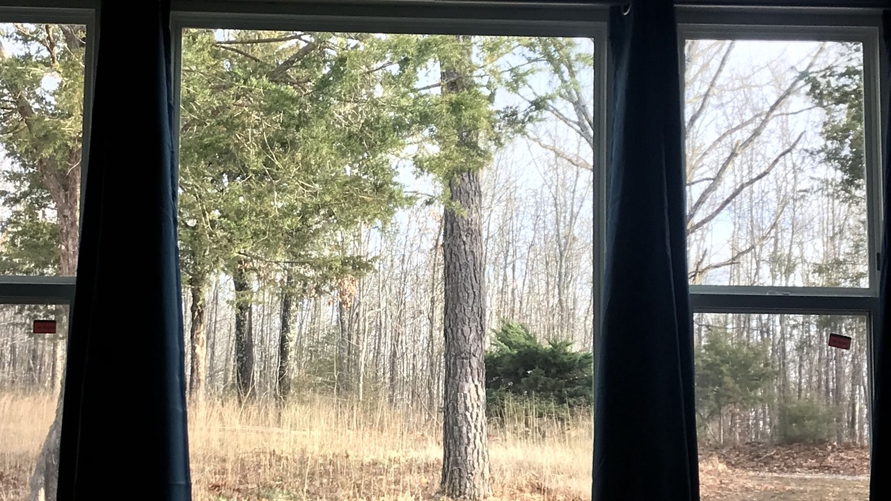 Photo of Others in Marshall