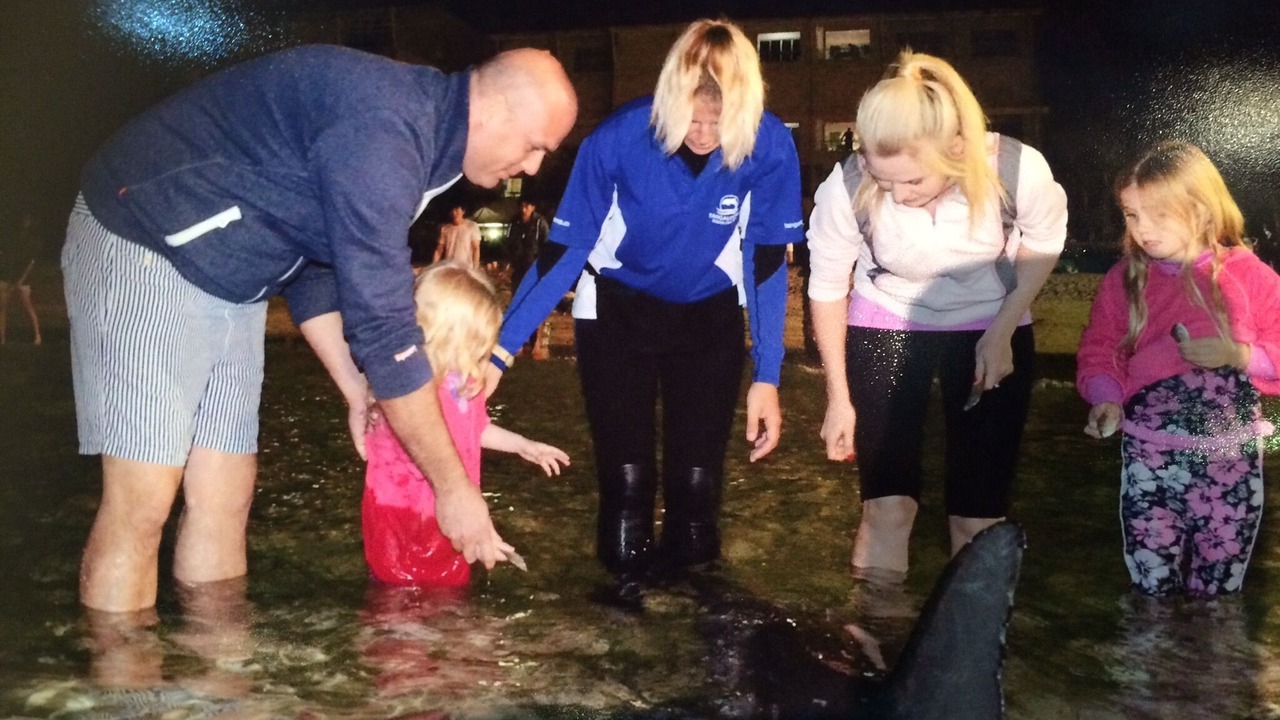 Photo of Others in Brisbane Waterfront