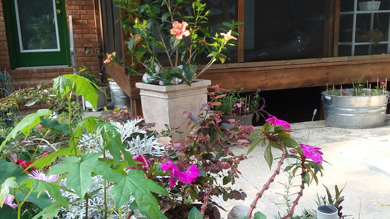 Photo of Outdoor in Tallahassee