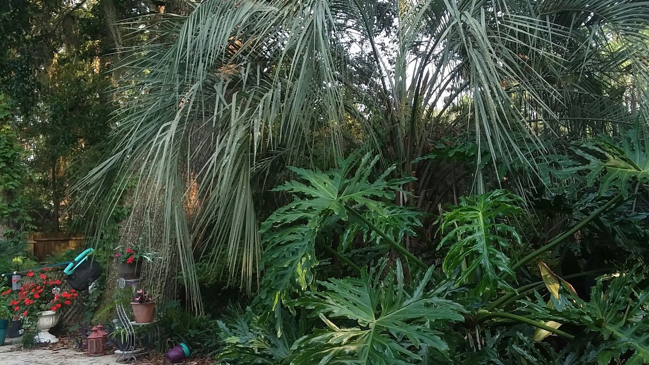 Photo of Outdoor in Tallahassee