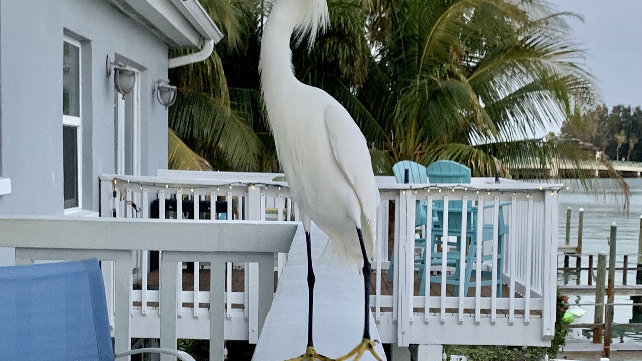 Photo of Others in Treasure Island