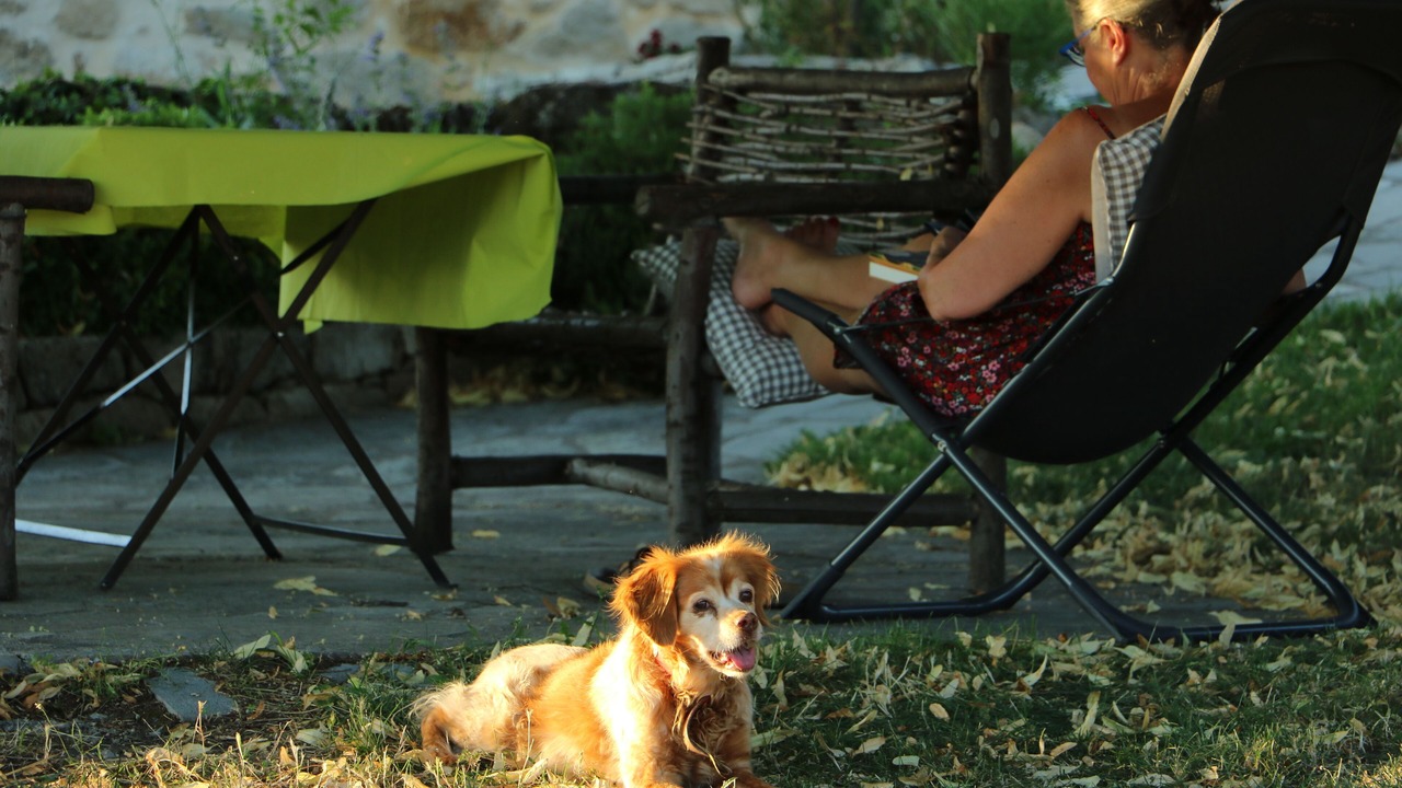 Photo of Outdoor in Alzon