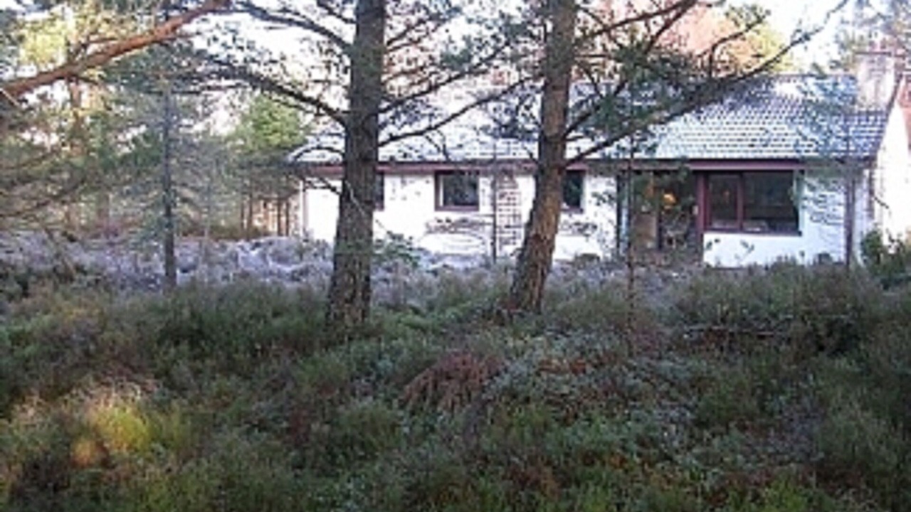 Photo of Outdoor in Coylumbridge