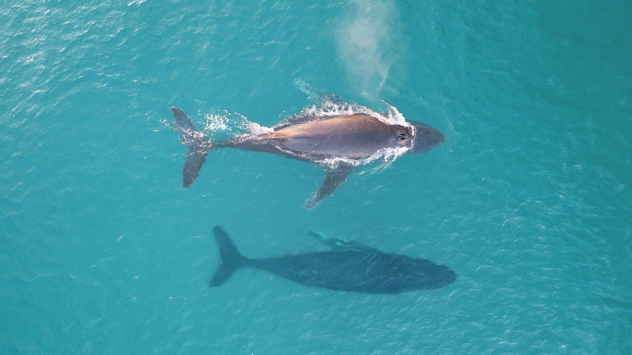 Photo of Others in Ulladulla