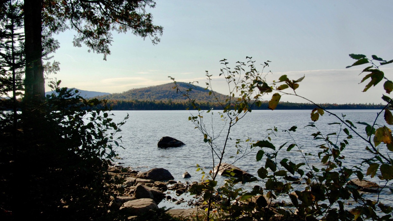 Photo of Others in Beaver Cove