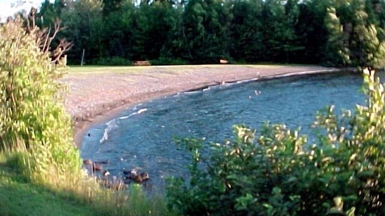 Photo of Others in Beaver Cove