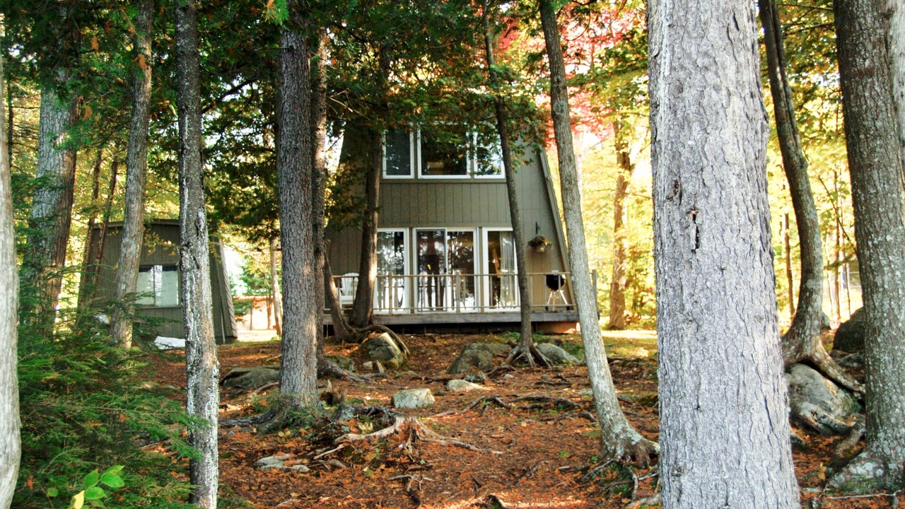 Photo of Outdoor in Beaver Cove