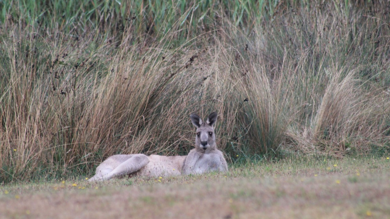Photo of Outdoor in Bellbrae