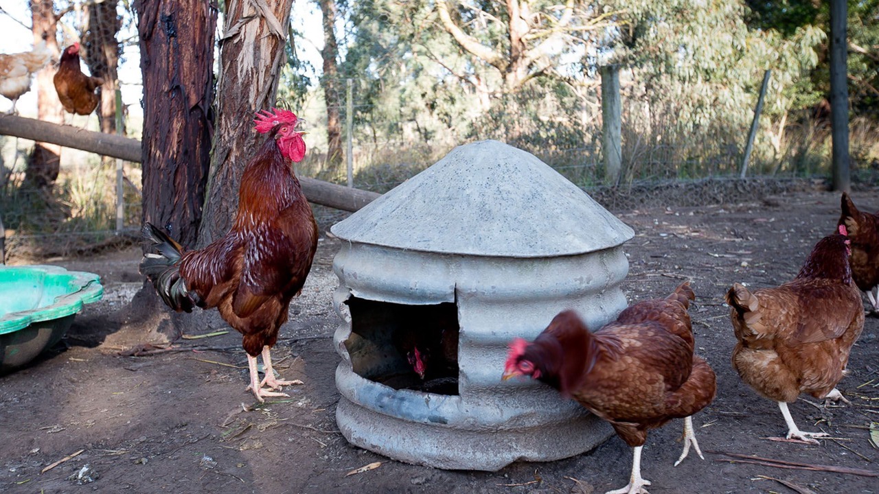 Photo of Outdoor in Bellbrae