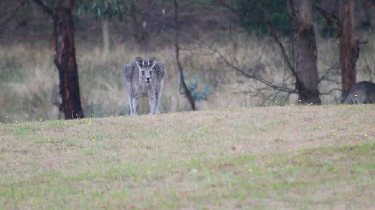 Photo of Others in Bellbrae
