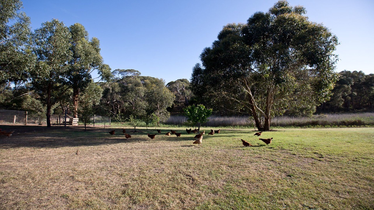 Photo of Outdoor in Bellbrae