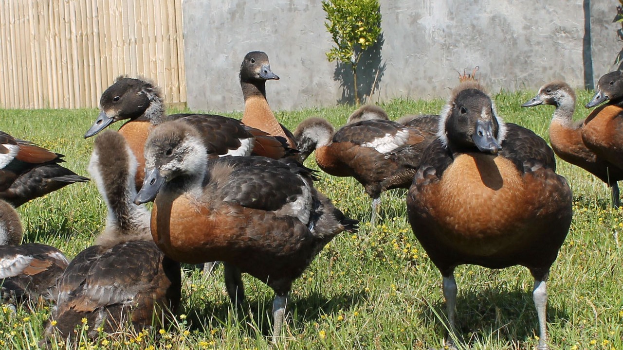 Photo of Outdoor in Bellbrae