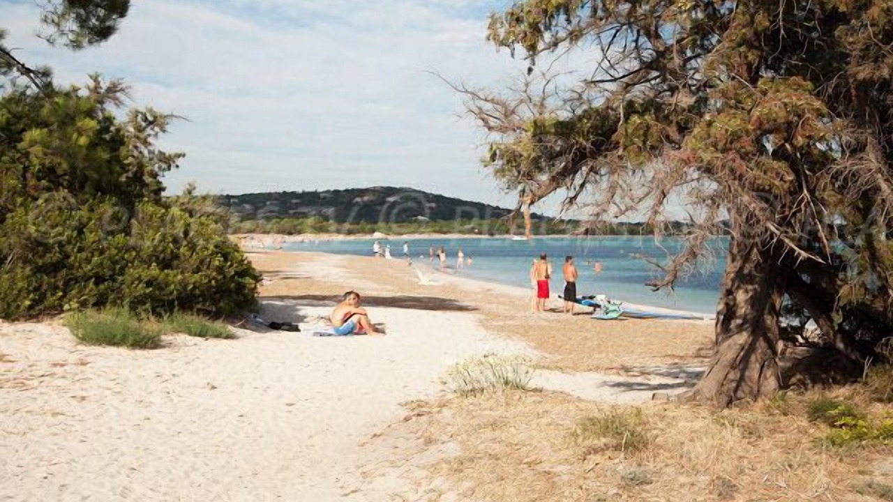 Photo of Others in Lecci