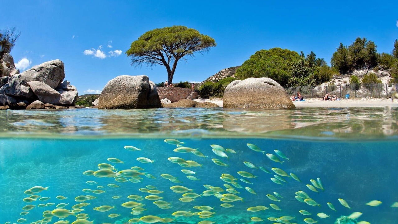 Photo of Others in Lecci