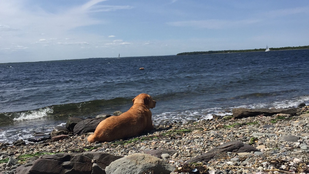 Photo of Others in Portsmouth