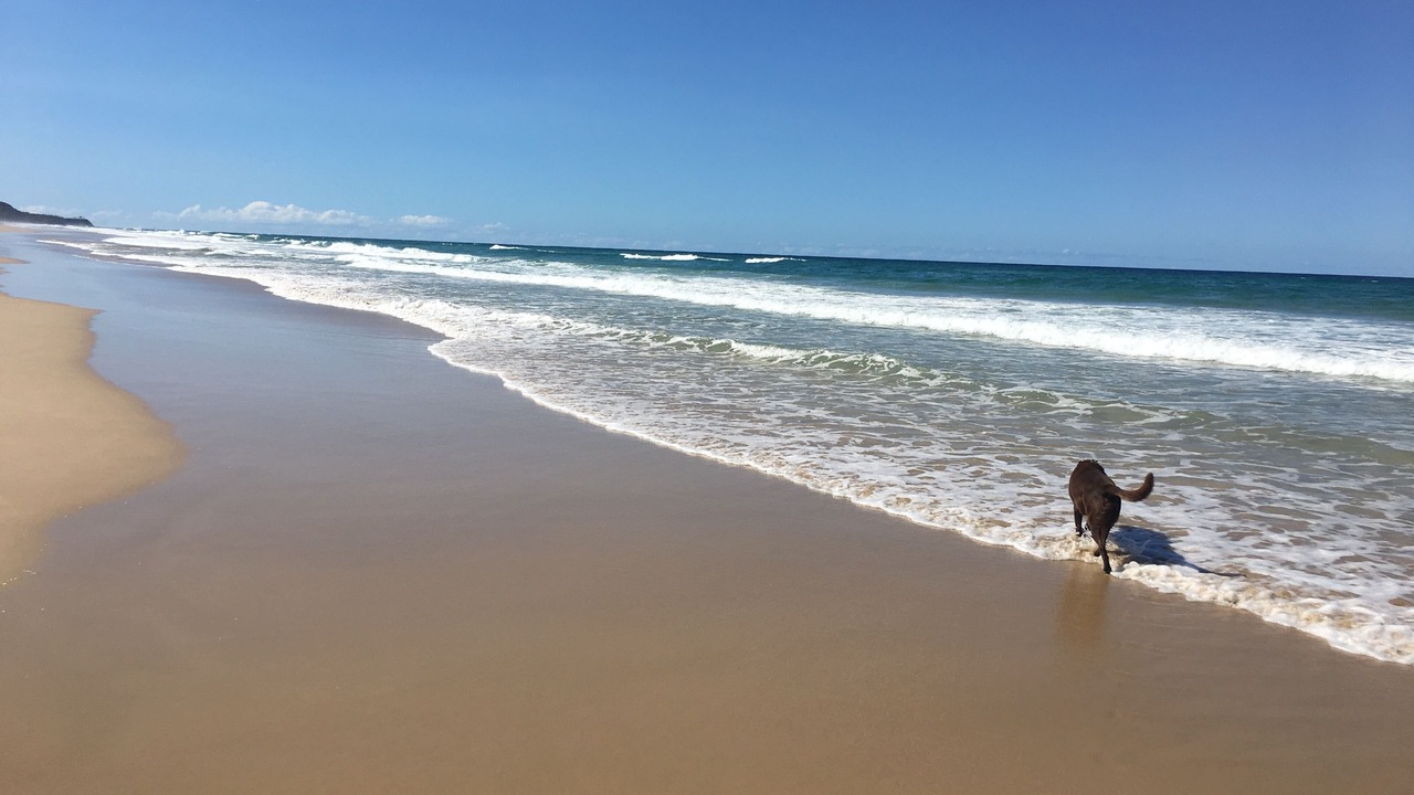 Photo of Others in Mount Coolum