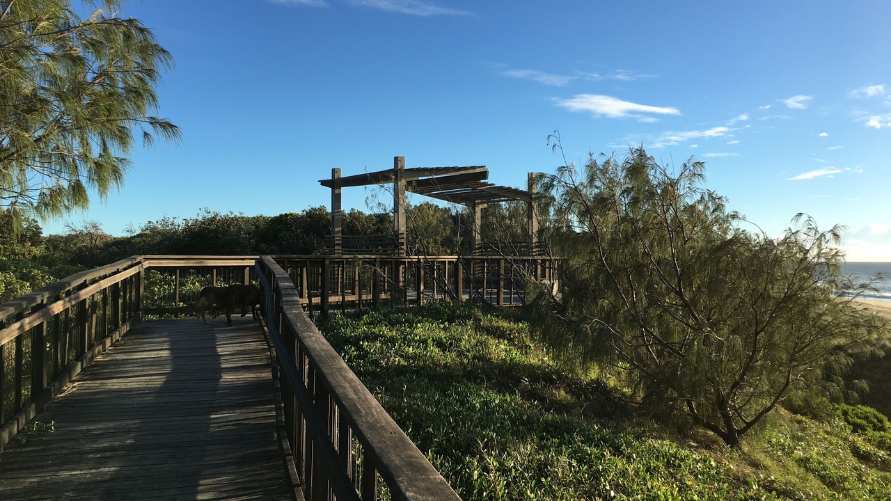 Photo of Outdoor in Mount Coolum