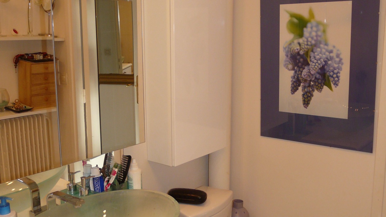Photo of Bathroom in 12th Arrondissement