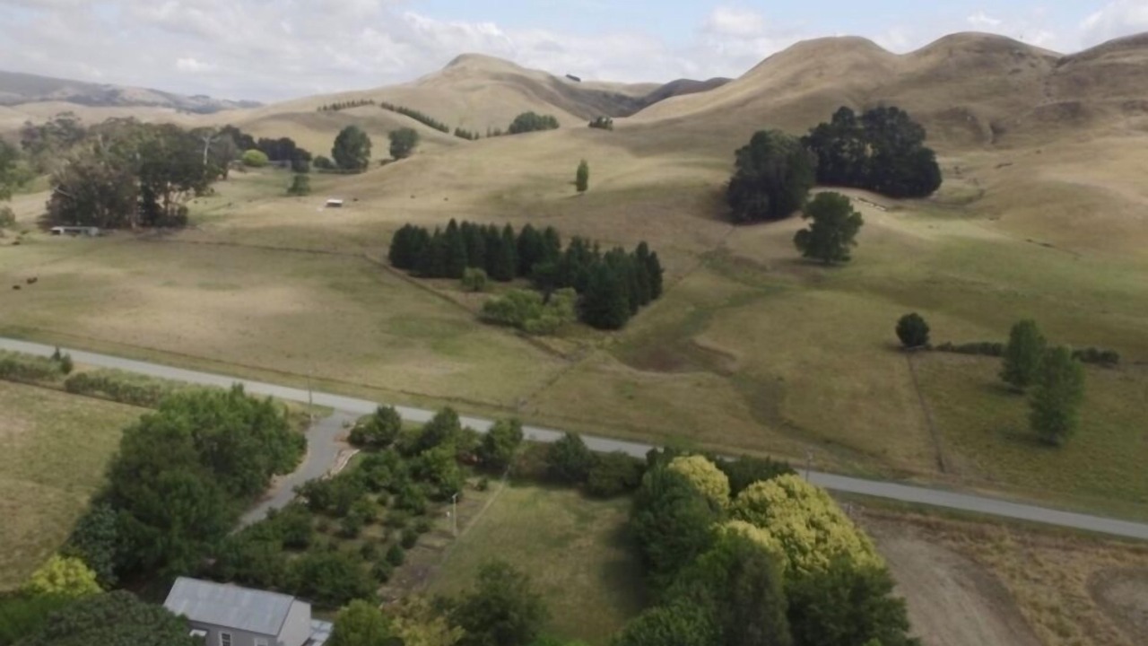 Photo of Others in Raukawa