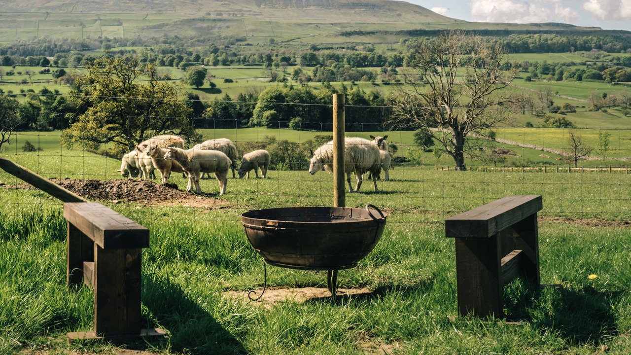 Photo of Livingroom in Leyburn