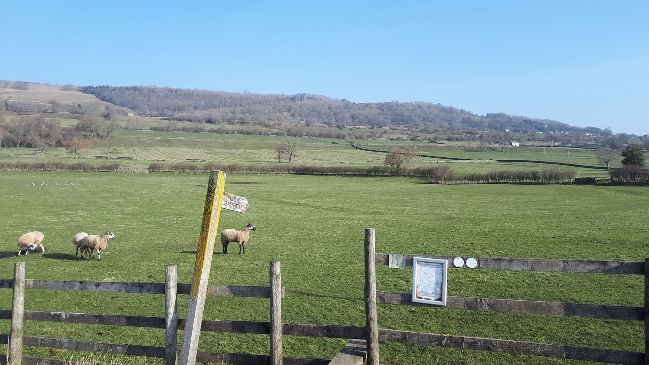 Photo of Outdoor in Leyburn