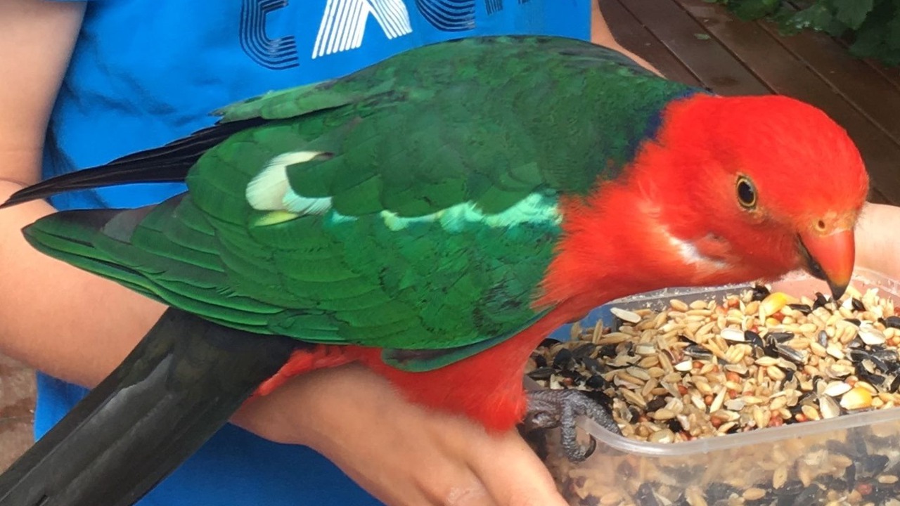 Photo of Outdoor in Tanybryn