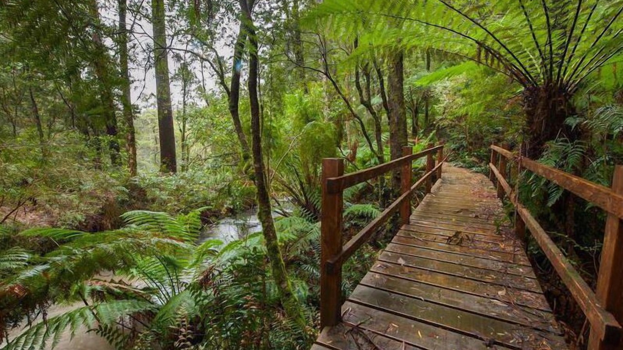 Photo of Outdoor in Tanybryn