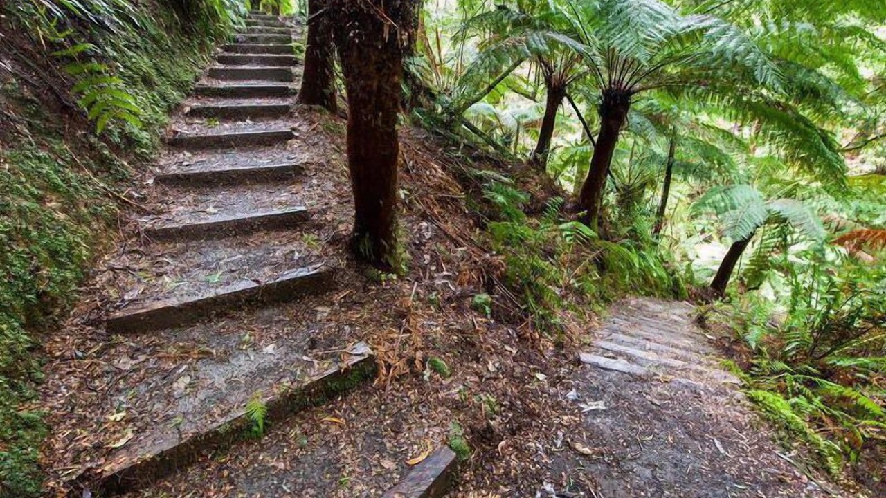 Photo of Outdoor in Tanybryn