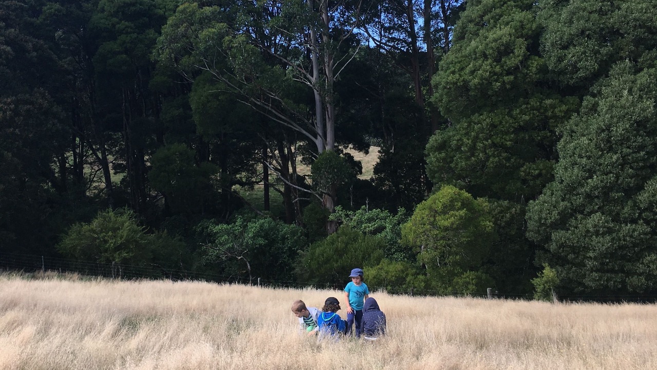 Photo of Outdoor in Tanybryn