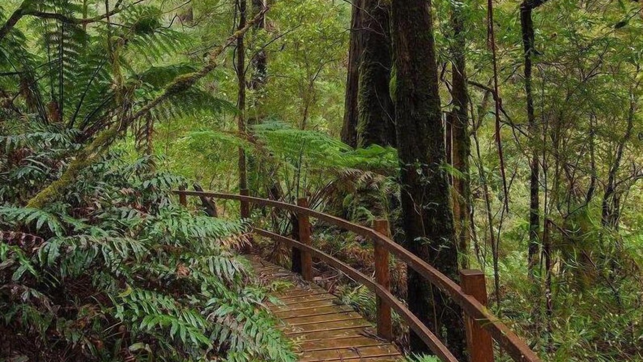 Photo of Outdoor in Tanybryn