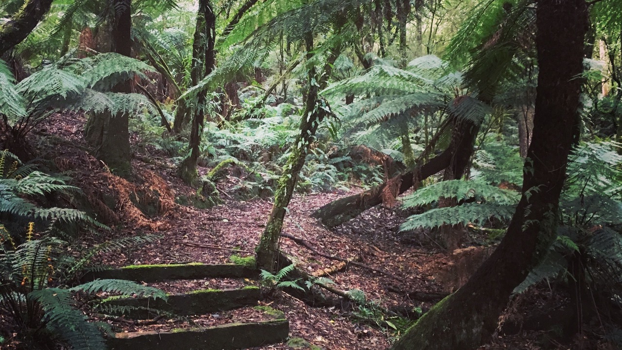 Photo of Outdoor in Tanybryn