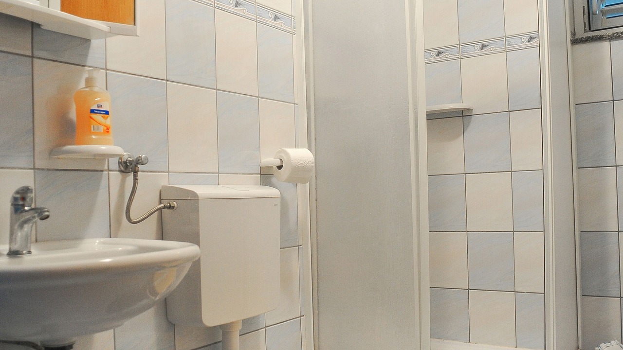 Photo of Bathroom in Caska
