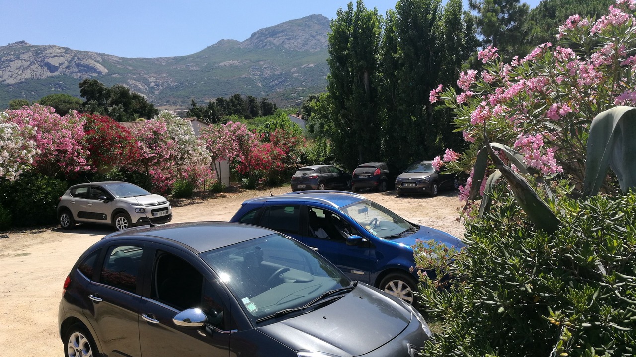 Photo of Outdoor in Calvi