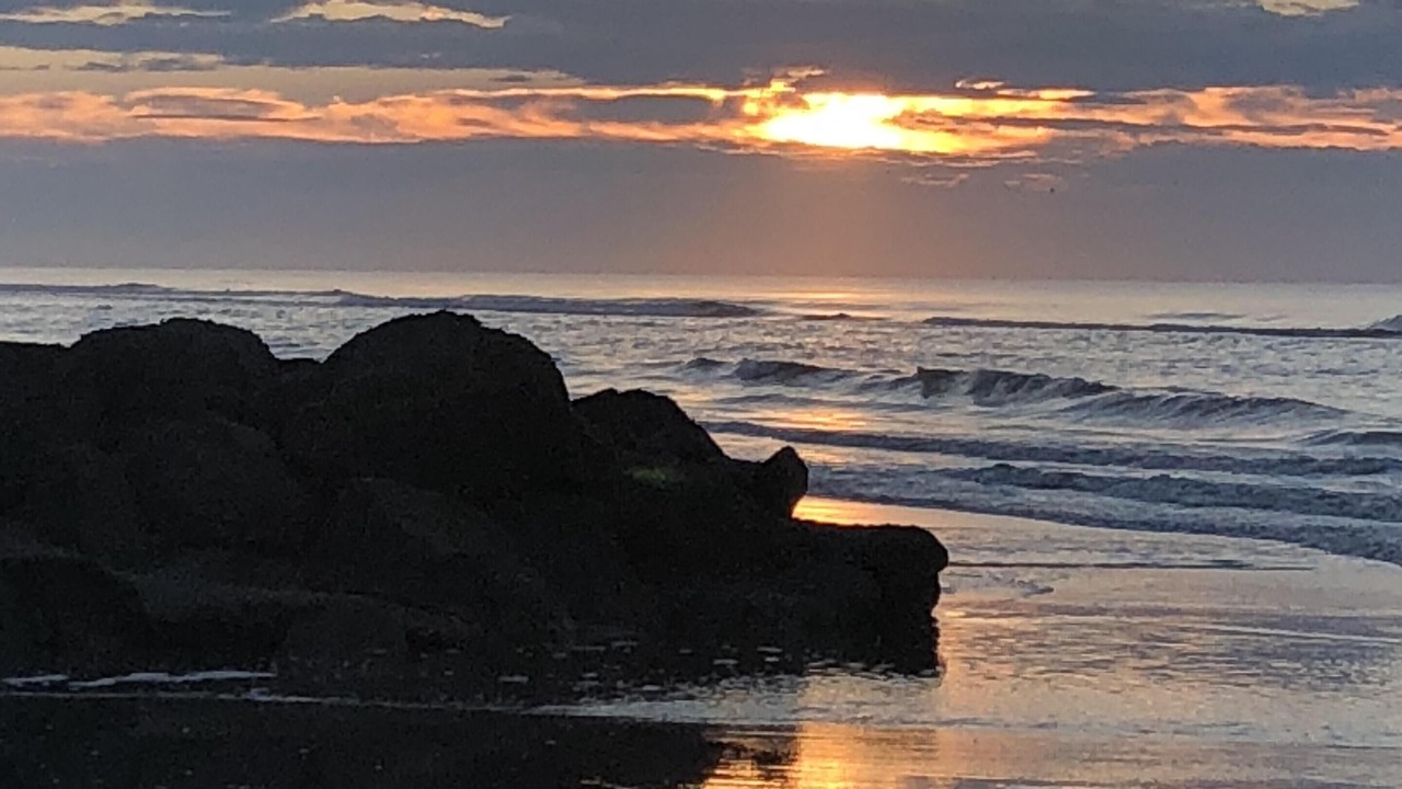 Photo of Others in Folly Beach