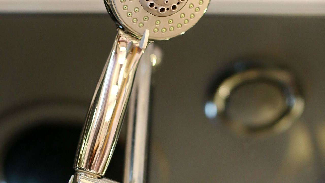 Photo of Bathroom in Bozava