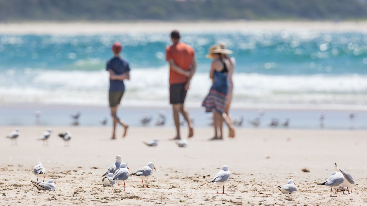Photo of Others in Kingscliff