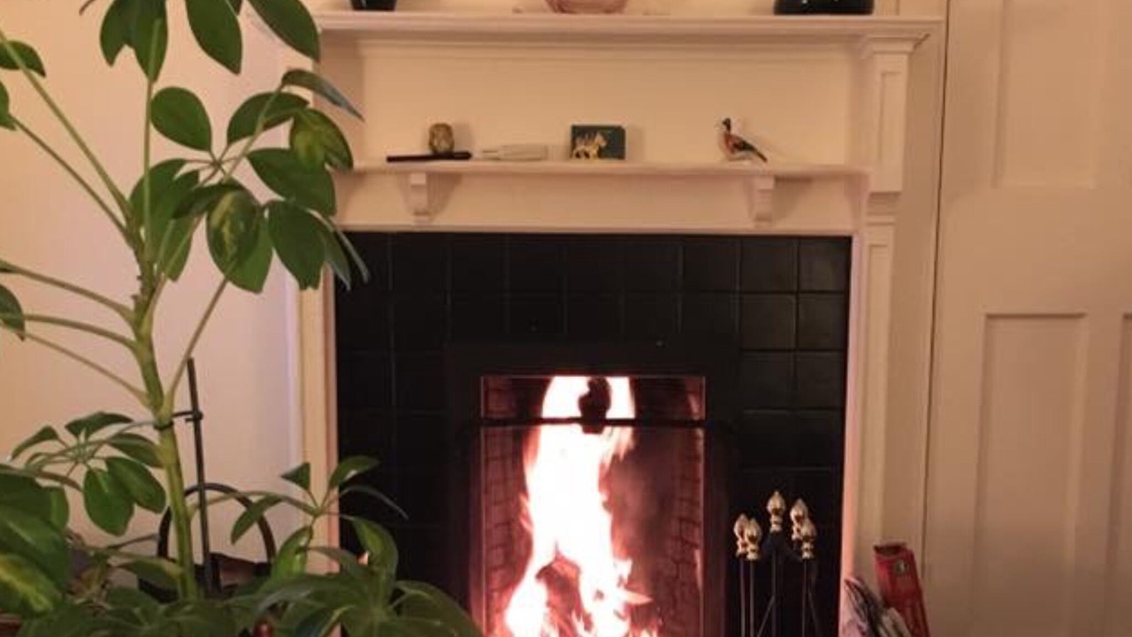 Photo of Others in Blairgowrie