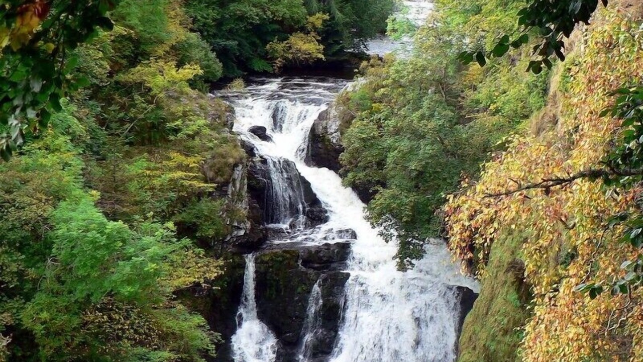 Photo of Others in Blairgowrie