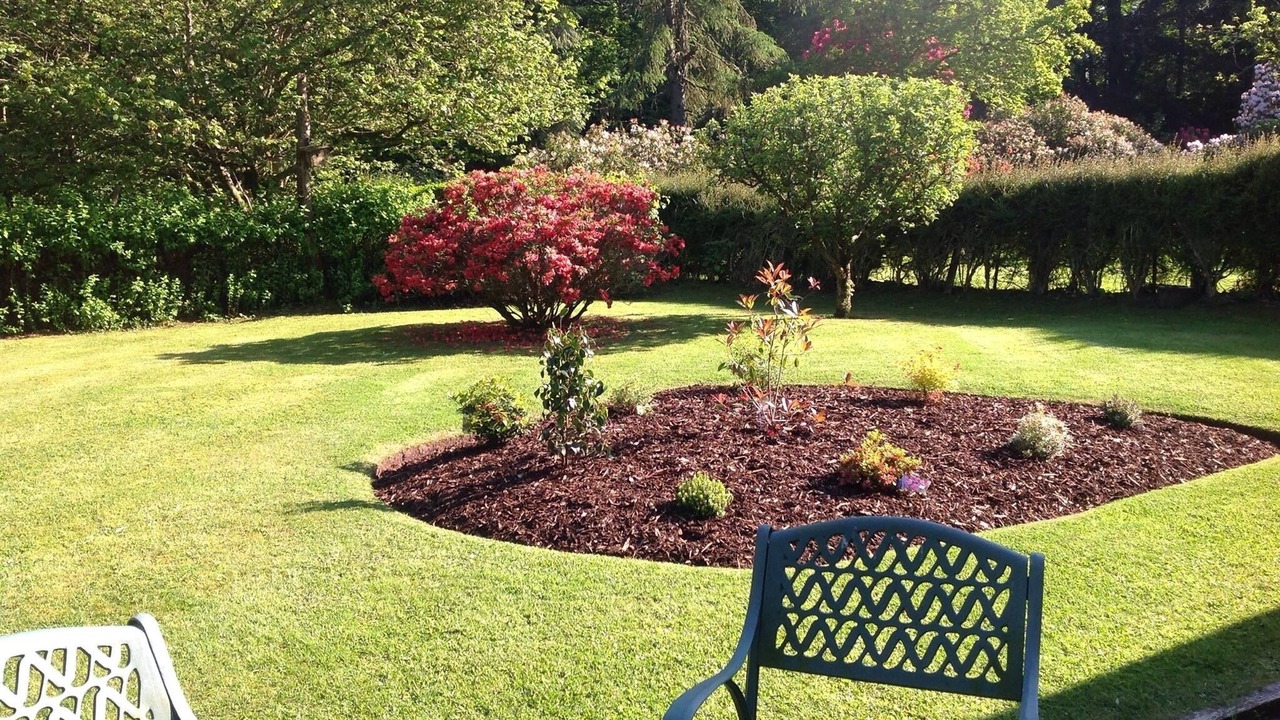 Photo of Others in Blairgowrie