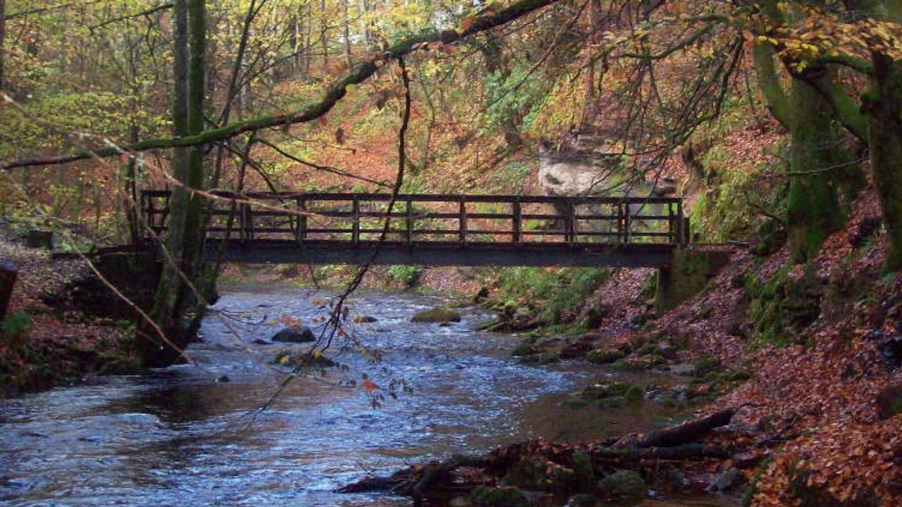 Photo of Others in Blairgowrie