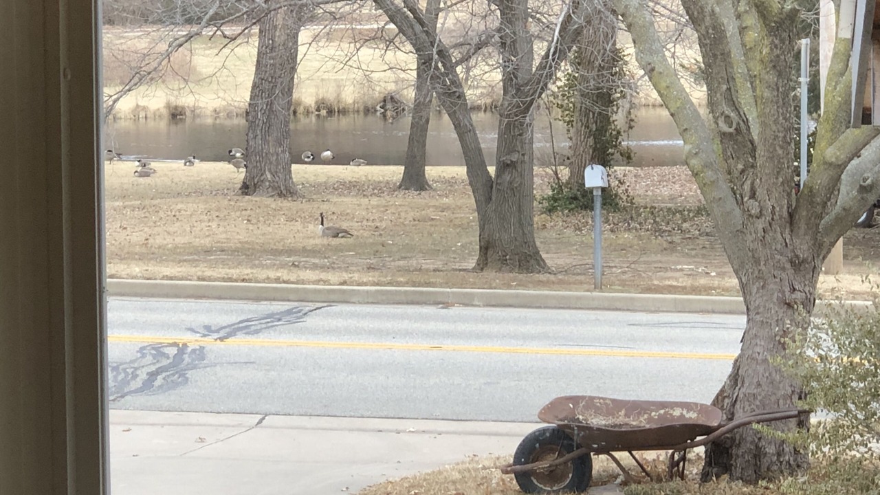 Photo of Others in Ponca City