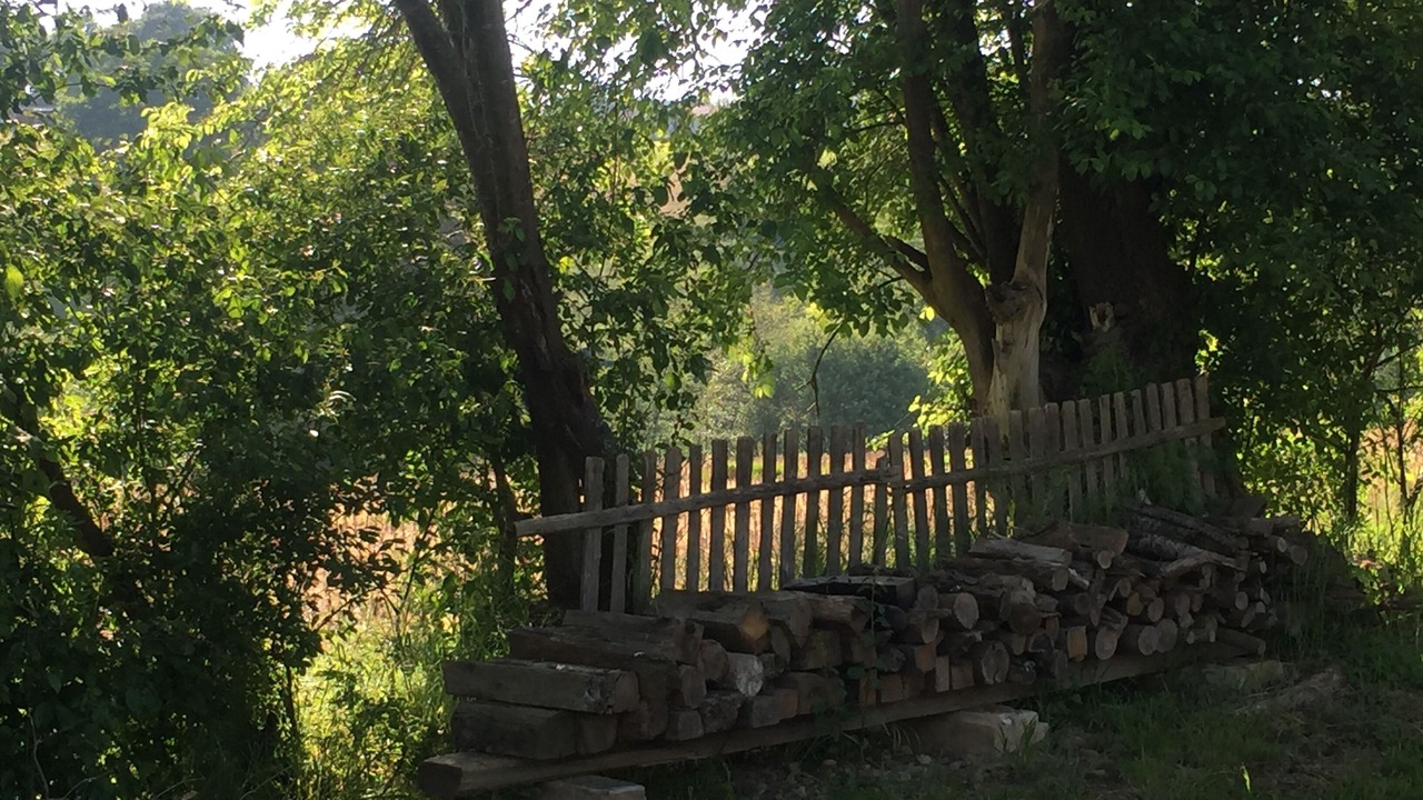 Photo of Outdoor in Bahus-Soubiran