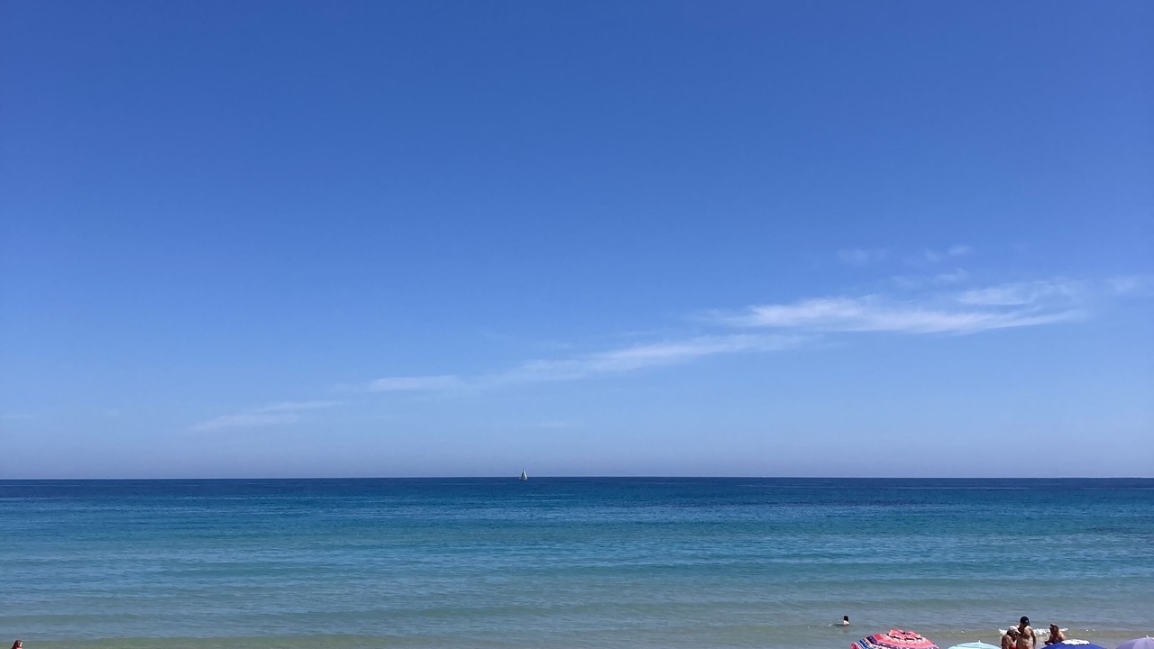 Photo of Others in Dehesa de Campoamor