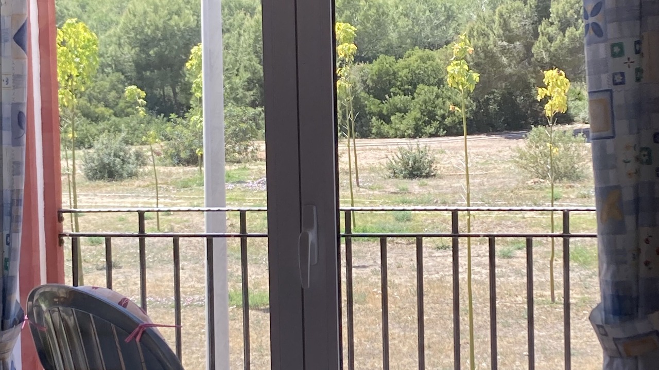 Photo of Patio Balcony in Dehesa de Campoamor