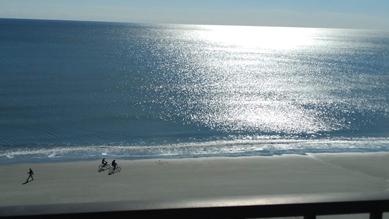 Photo of Others in Cherry Grove Beach