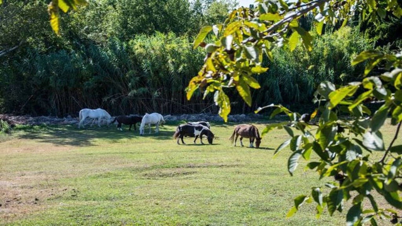 Photo of Outdoor in Plan-d'Orgon