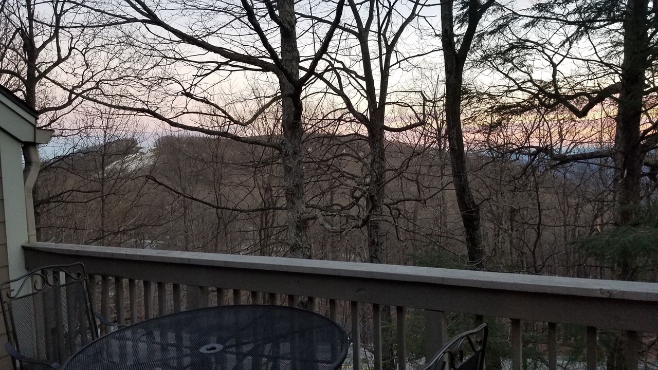 Photo of Outdoor in Roseland