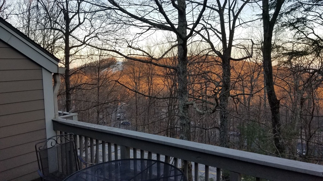 Photo of Outdoor in Roseland